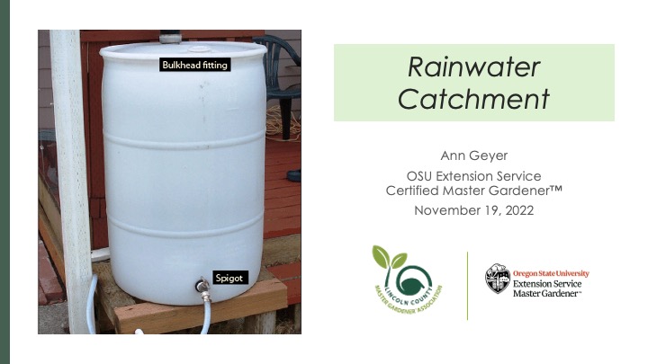 Rainwater Catchment