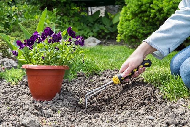 gardening-6803871_640