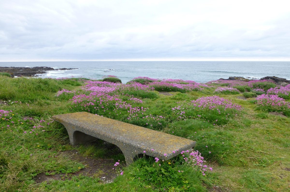 Coastal Gardening