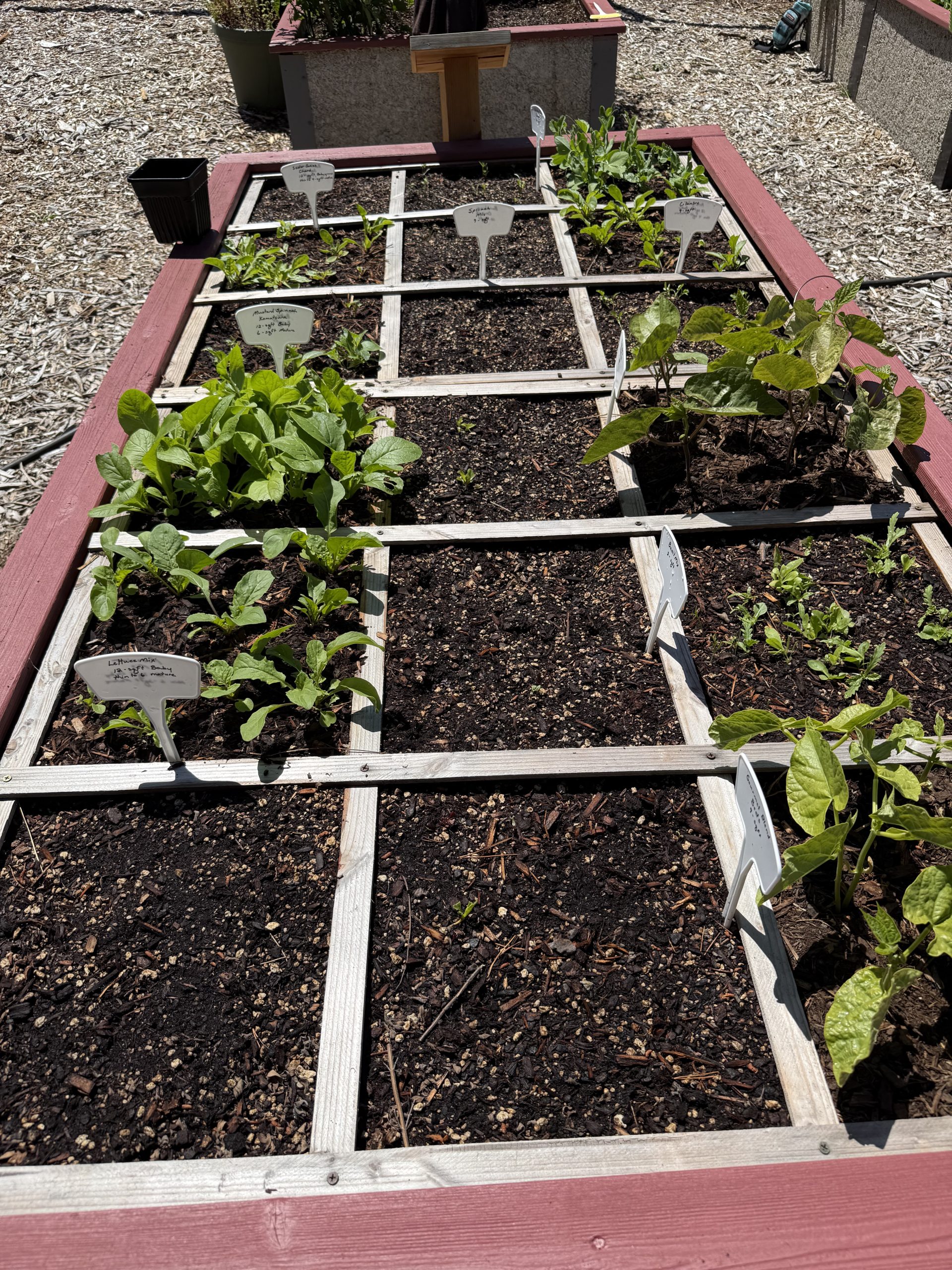 Test Garden Bed
