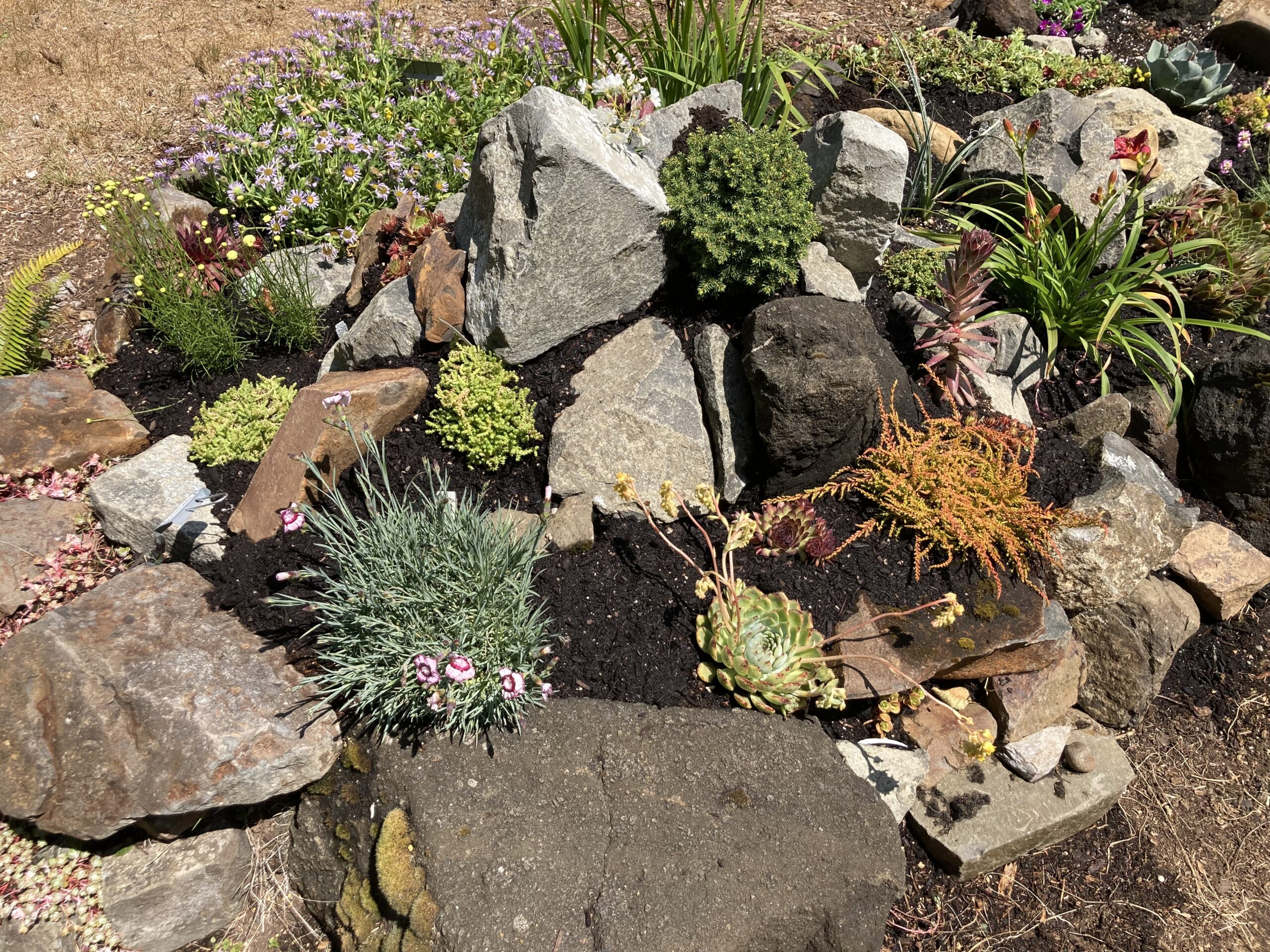 Rock Gardens (KYAQ Audio)