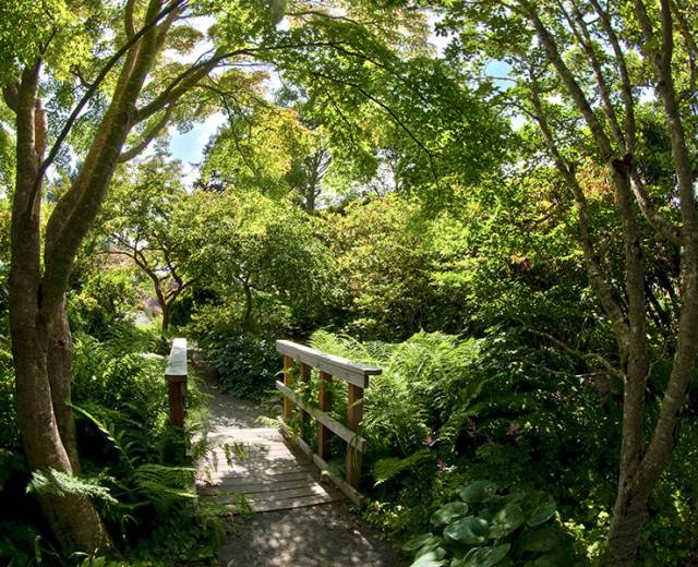 990e0ca5-d2e3-44d3-88a4-eb0937c6c347_375c866b4419949772054f27c9c74f06